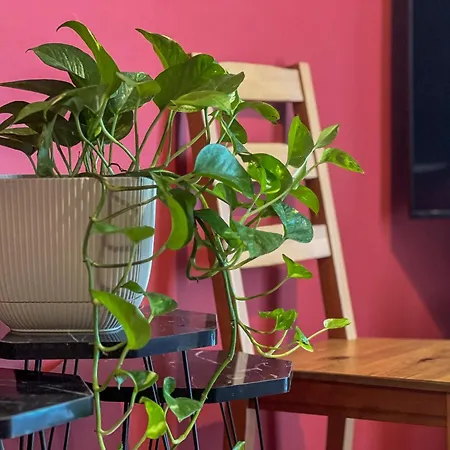 Apartment Homevision - Chic In The